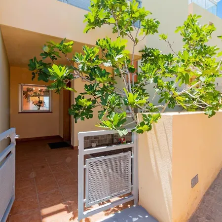 Own Pool By Dream Homes Tenerife Semesterbostad *